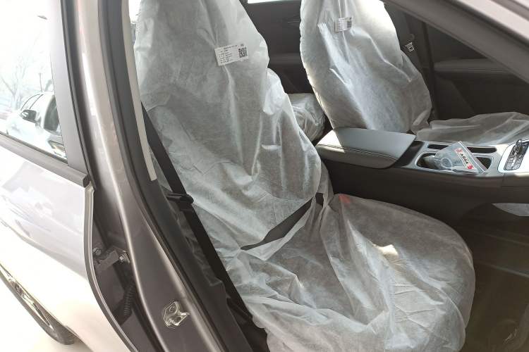 Used  Geome 2026 Model 310km Dream Edition