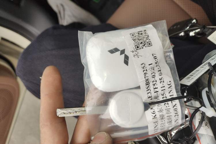 Used Wuling Bingo S 2025 Model 325km Flagship Edition