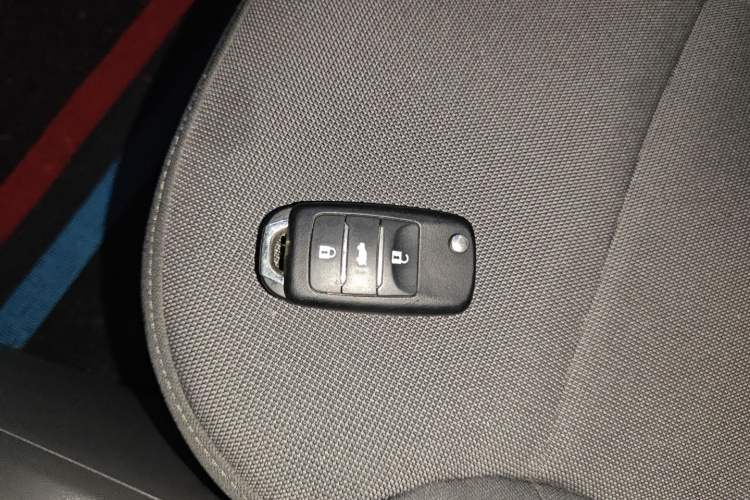 Used Qiyuan Lumin 2024 130km Qingyue Version
