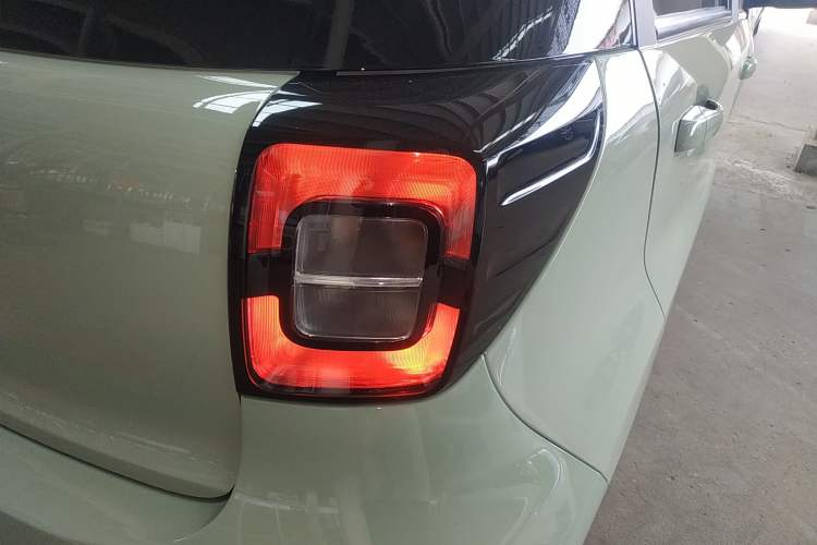 Used SOL E10X 2022 Flower Fairy Style Baby's Breath
