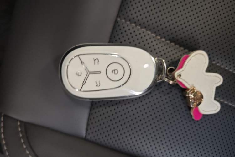 Used  Geome 2025 UP 410km Exploration Edition
