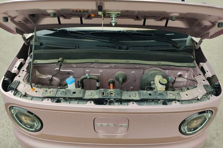 Used  Panda 2024 Panda Mini 200km Longteng PRO Edition
