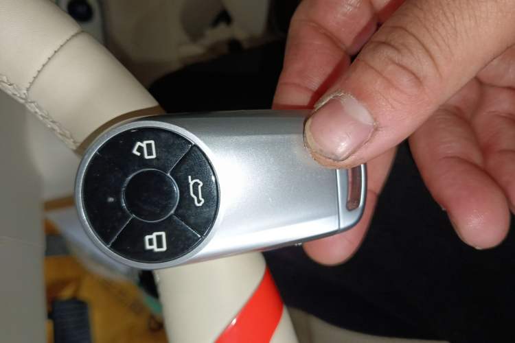 Used ORA Good Cat 2023 401 km Standard Range Premium Version Lithium Iron Phosphate