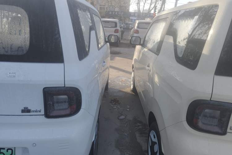 Used  Panda 2024 Panda Mini 200km Endurance Bear