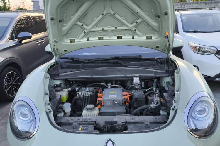 Used ORA Good Cat 2023 401 km Standard Range Comfort Version Lithium Iron Phosphate
