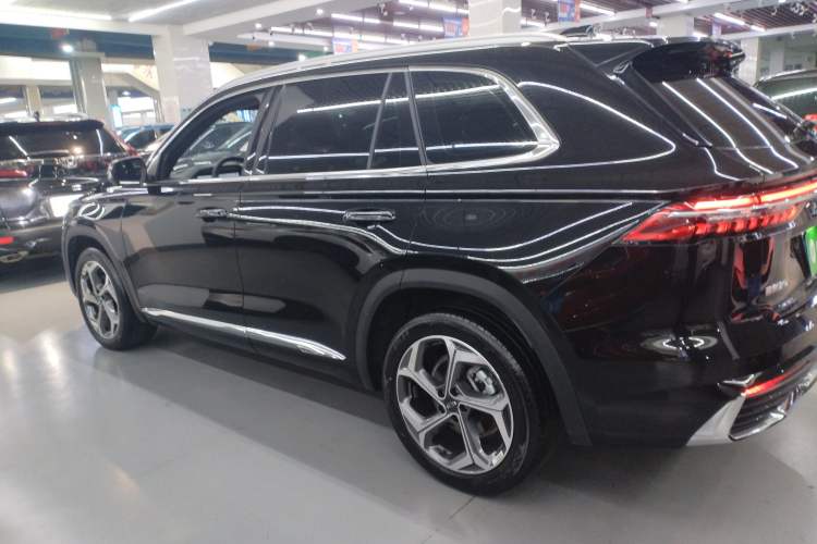 Used Geely Auto Monjaro L 2024 2.0TD DCT EVO Two-Wheel Drive Long-Range Version
