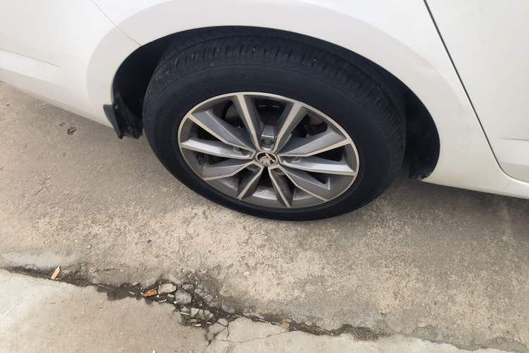 Used Skoda Octavia 2019 1.5L Automatic Comfort Edition
