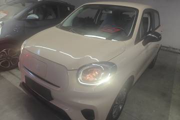 Used Leapmotor T03 2021 400 Lite Edition Lithium Iron Phosphate