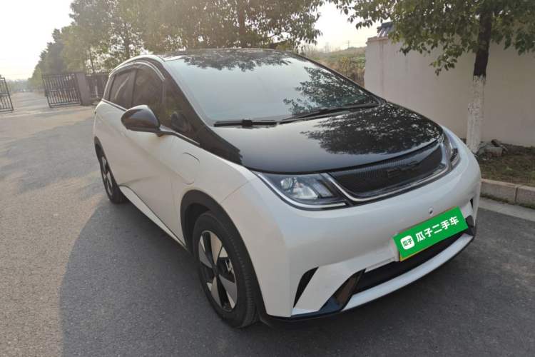 Used BYD Dolphin 2023 420 km Fashion Edition