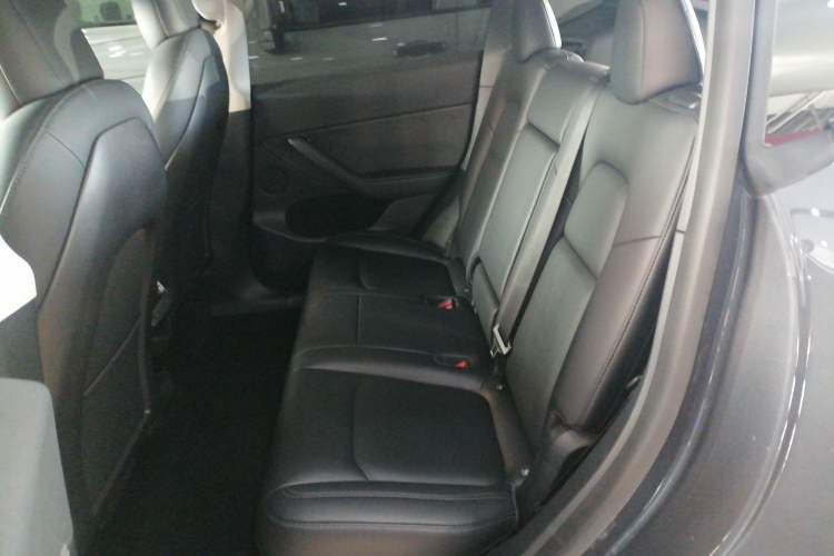 Used Tesla Model Y 2021 Standard Range Rear-Wheel Drive Version
