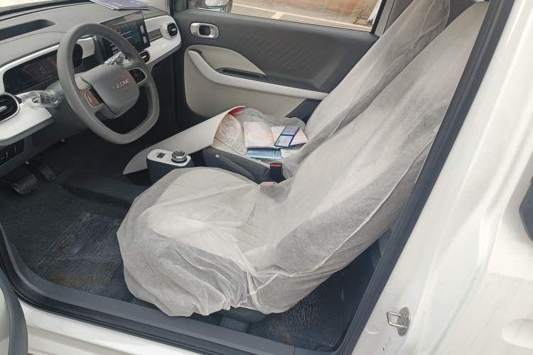 Used  Panda 2025 210km Panda Rider
