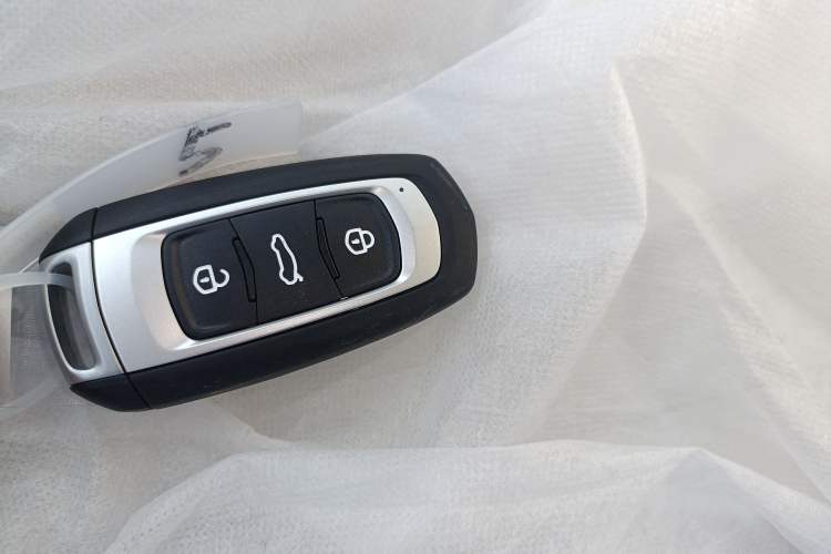 Used  Panda 2025 210 km – Yuanqi Bear