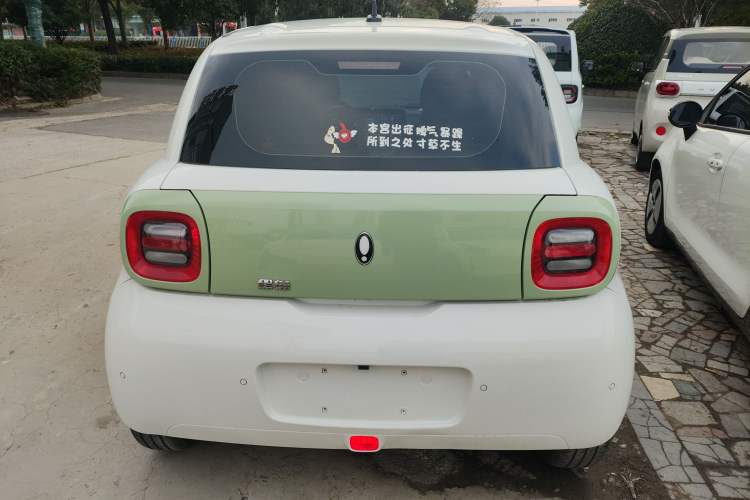 Used ORA Black Cat 2022 351 km Range Comfort Version Ternary Lithium