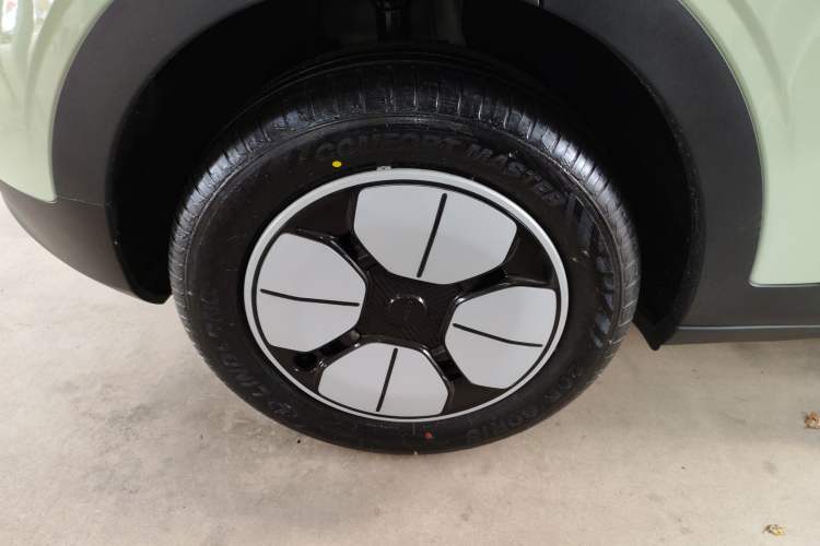 Used  Geome 2025 310km Youth Edition