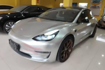 Used Tesla Model 3 2021 Performance High-Performance All-Wheel-Drive Version