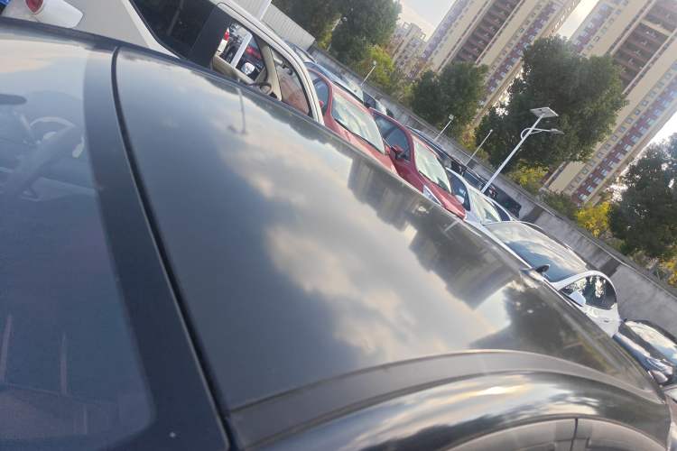 Used SOL E10X 2022 Flower Fairy Style Baby's Breath
