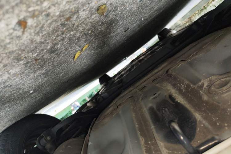 Used Honda Fit 2021 1.5L CVT Trend Edition
