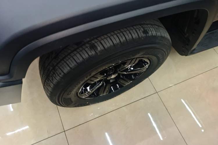 Used Tank 300 2024 2.0T Conqueror