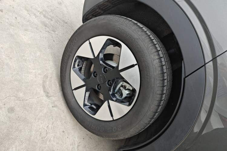 Used  Geome 2025 310km Dream Edition
