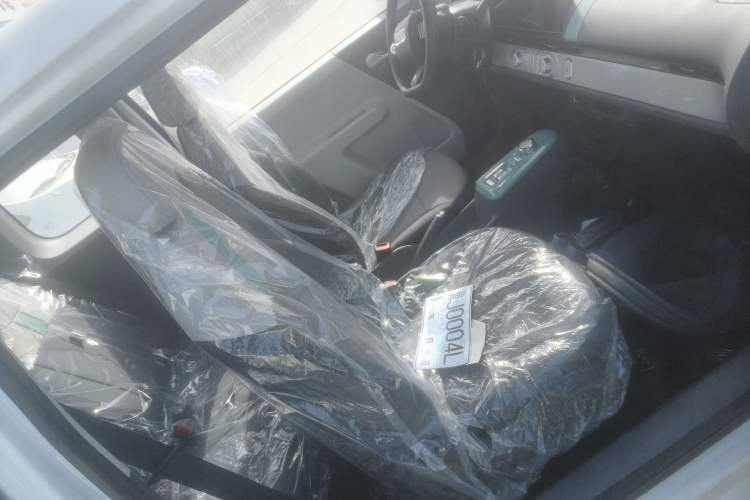 Used Qiyuan Lumin 2024 130km Qingyue Version
