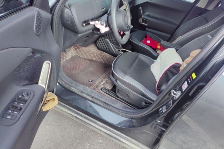 Used  Electric MINI ACEMAN 2024 E Classic Edition