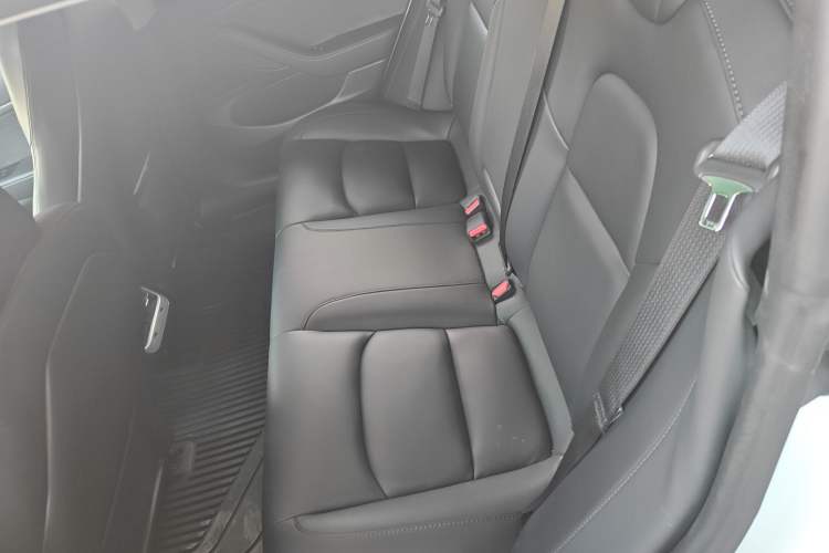 Used Tesla Model 3 2019 Standard Range Rear-Wheel Drive Upgraded Version (52 kWh)
