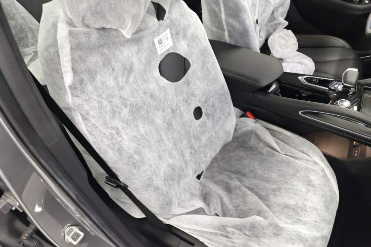 Used Geely Auto Monjaro L 2024 2.0TD DCT EVO Two-Wheel Drive Long-Range Version
