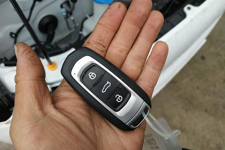 Used  Panda 2025 210 km – Yuanqi Bear
