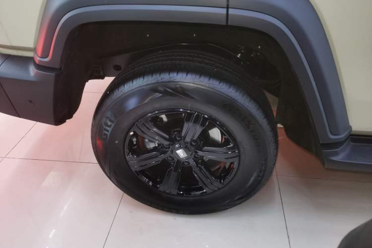 Used Tank 300 2025 2.0T Conqueror