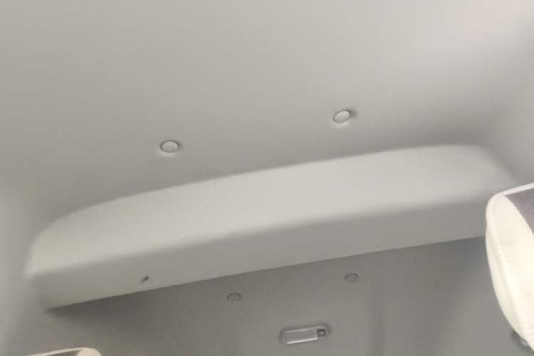 Used FORTHING Lingzhi 2020 M5 1.6L Practical Model
