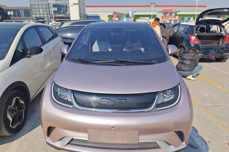 Used BYD Dolphin 2021 405 km Fashion Edition
