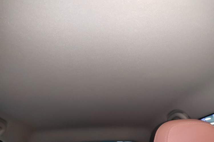 Used NETA V 2021 Witch Edition
