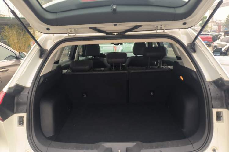 Used Haval H6 2020 1.5 GDIT Automatic Platinum Champion Edition
