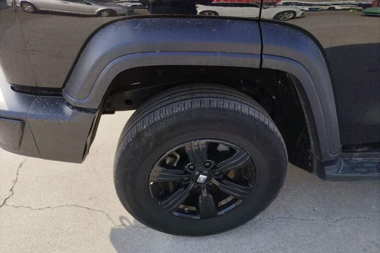 Used Tank 300 2024 2.0T Conqueror