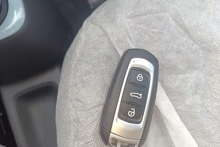 Used  Panda 2024 Panda Mini 200km Endurance Bear