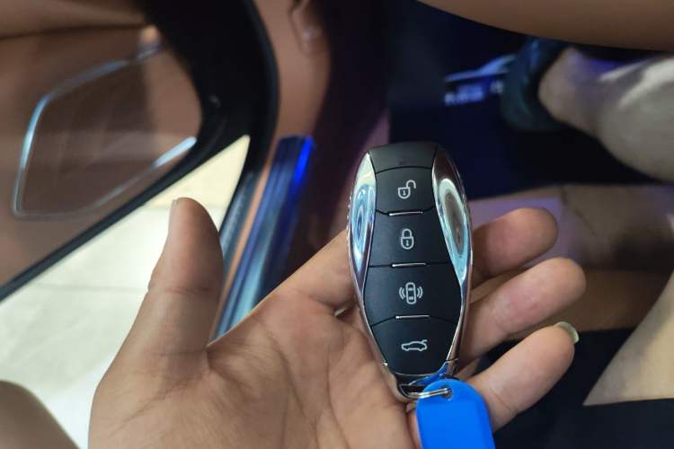 Used Hongqi H9 2024 2.0T Qichang Luxury Business Edition
