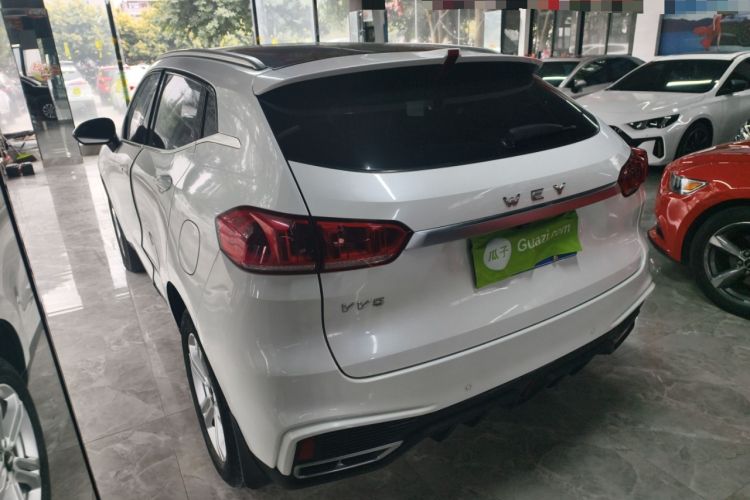 Used Wey VV5 2020 1.5T Two-Wheel Drive Color Pioneer
