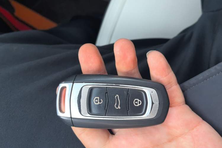 Used  Panda 2024 200km Panda Rider