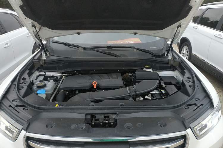 Used Haval H6 2020 1.5 GDIT Automatic Platinum Urban Edition