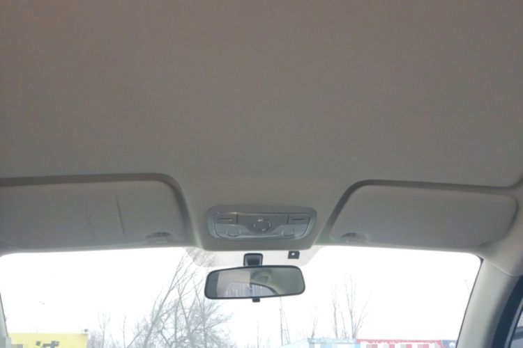 Used Dayun Yuehu 2022 30.66 kWh Two-Wheel Drive Standard Version