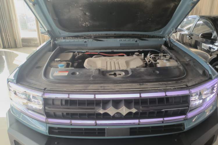 Used  Leopard 5 2023 Flagship Edition
