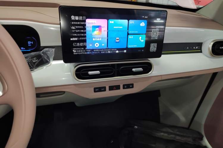 Used  Panda 2025 210 km – Yuanqi Bear
