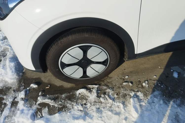 Used  Geome 2025 310km Youth Edition