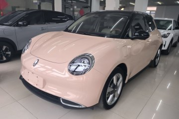 Used ORA Good Cat 2021 400km Standard Range Venus Edition Lithium-Ion Battery