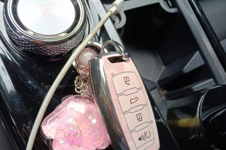 Used Haval DARGO 2022 1.5T DCT Two-Wheel Drive Mastiff Pursuit Edition
