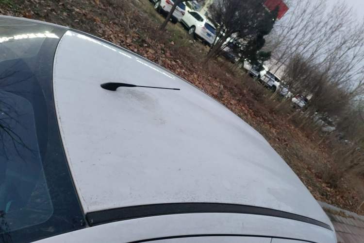 Used JMEV  2024 201km Comfort Version
