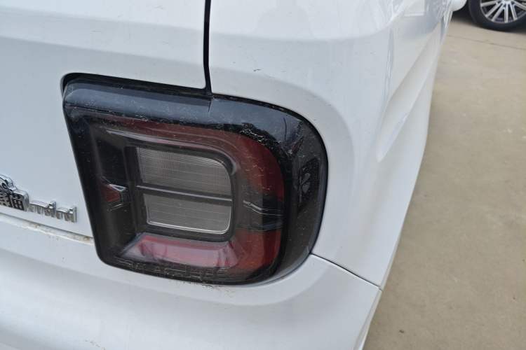 Used  Panda 2024 Panda Mini 200km Endurance Bear