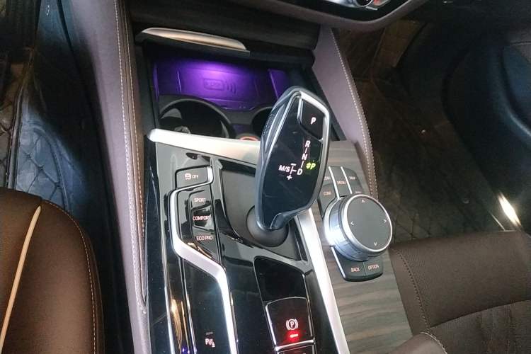 Used BMW 5 Series 2021 530Li Leading Luxury Package