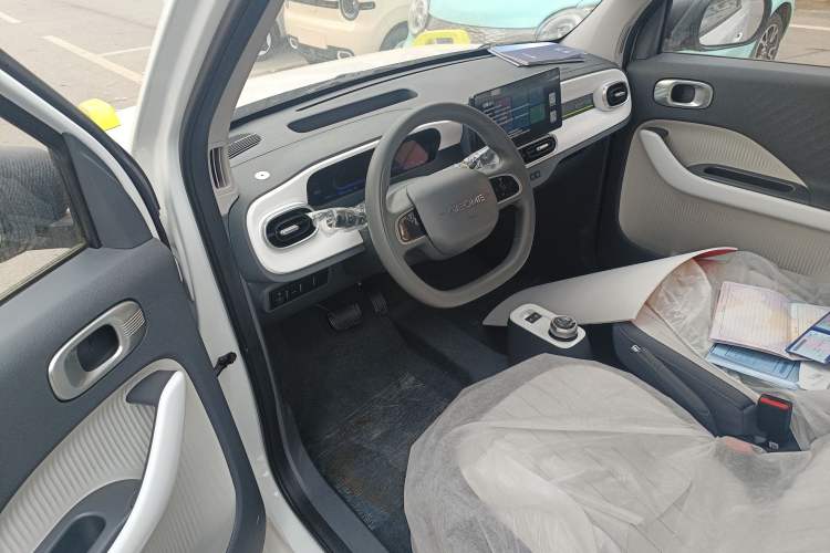 Used  Panda 2025 210km Panda Rider
