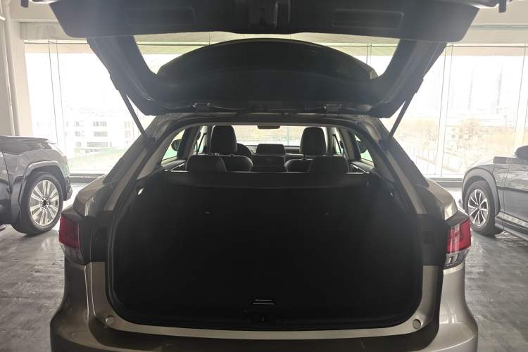 Used Lexus RX 2020 300 Two-Wheel Drive Elite Edition China VI Standard
